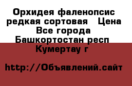 Орхидея фаленопсис редкая сортовая › Цена ­ 800 - Все города  »    . Башкортостан респ.,Кумертау г.